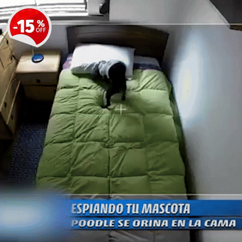 Tapete entrenamiento para mascotas